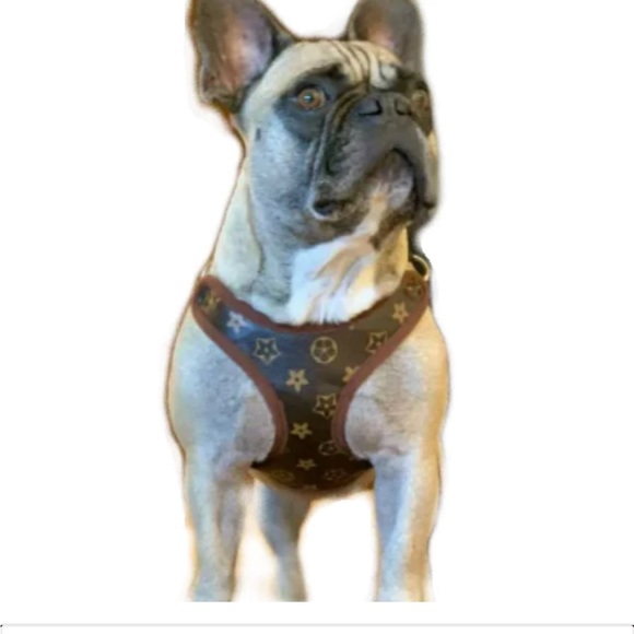 L Vuitton dog cat pet harness with leash
